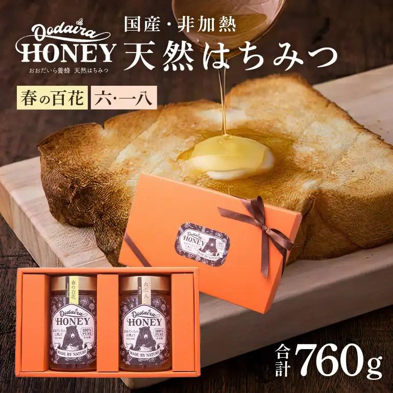 はちみつ 380g 2本セット 春の百花 非加熱 国産