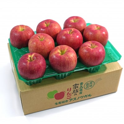 【26年10月から順次発送】糖度13度以上保証!シナノスイートおもてなし用約3kg(6～18玉)【配送不可地域：離島・沖縄県】