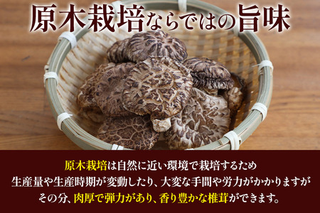 原木栽培 干ししいたけ【どんこ】30g×4袋