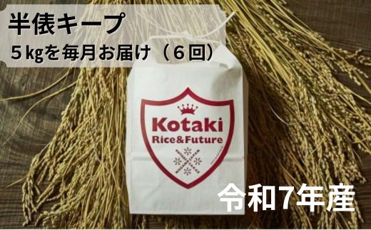 
            ≪令和7年産≫米を半俵キープ！コタキホワイト5kgを毎月お届け(計6回)
          