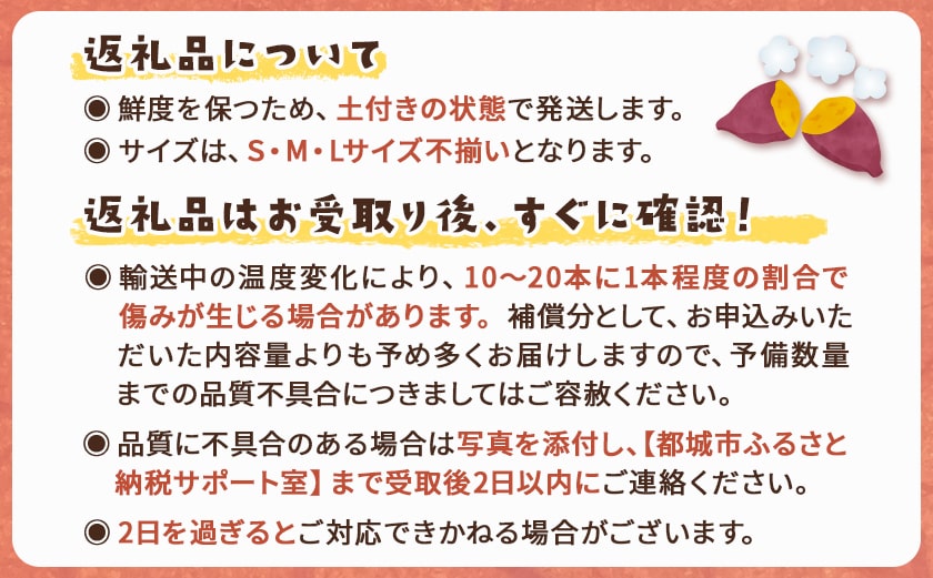 都城産 長期熟成紅はるか 5kg〔AA-I2-001-5kg〕