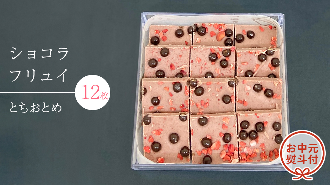 【 お中元 熨斗 付】 ショコラフリュイ とちおとめ 12枚 チョコレート チョコ スイーツ デザート 高級 ギフト 贈り物 お礼 プレゼント 手土産 お菓子 [DJ50-NT]