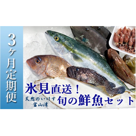【配送地域限定】天然のいけす 富山湾 氷見漁港直送！ 旬の鮮魚セット 定期便3ヶ月連続お届け