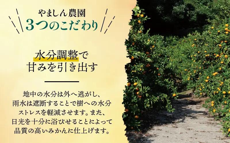 有田 みかん 訳あり 4kg 光センサー 選別 / 温州みかん 有田みかん 甘い 家庭用 和歌山 柑橘 ※2026年12月順次発送 ※北海道・沖縄・離島への配送不可 【nuk004-c-4-decH】