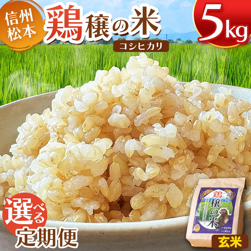 【ふるさと納税】【選べる 定期便】鶏穣（けいじょう）の米　玄米 5kg 単品 or 2ヶ月 or 4ヶ月 or 6ヶ月 or 12ヶ月 ｜米 玄米 コシヒカリ こしひかり 鶏穣の米 信州 松本産 5kg こめ ご飯 国産 長野県 松本市 単品 定期便