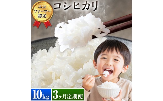 米 コシヒカリ 白米 10kg 3ヶ月定期便 農事組合法人新宿営農組合 《お申込み翌月から出荷》 米 こめ コメ ごはん ご飯 お米 おこめ 精米 白米 エコファーマー認定 千葉県 東庄町