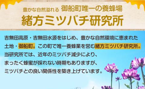 熊本県御船町産 純粋はちみつ600g 御船町観光協会 《30日以内に出荷予定(土日祝除く)》---sm_mkhoneyn_30d_23_12500_600g---