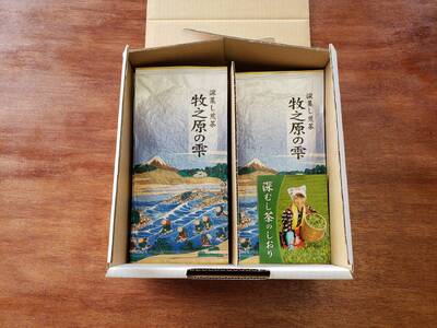 098-5 【5月中旬より新茶出荷】 牧之原産 おいしい 新茶 10本 セット お茶 茶 深蒸し 煎茶 旬 日常 のし 熨斗 贈答 ギフト 静岡県 牧之原市 澤田行平商店