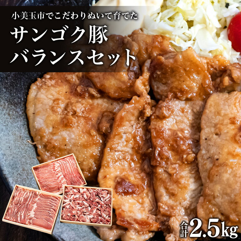 【ふるさと納税】サンゴク豚（バランスセット） 合計2.5kg しゃぶしゃぶ 焼き肉 豚肉 豚バラ肉 ロース 小分け 真空パック しゃぶしゃぶ肉 焼肉用 お鍋用 ブタ肉 国産 茨城県産 ギフト プレゼント 高級部位 2-B