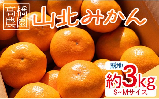 
                  【2026年11月中旬より順次配送】みかん 3kg 甘い 山北みかん 先行受付 (露地・Ｓ～Ｍ) ギフト用 高橋農園 - 果物 フルーツ 温州みかん ミカン 蜜柑 柑橘 小玉 甘い th-0028
                