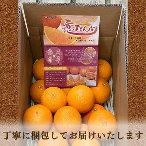 【 先行予約 】【訳あり】農家直送 名前だけが訳あり あいか 10kg 家庭用 | 紅まどんな と同種 みかん 愛媛 松山 フルーツ 果物 くだもの 10キロ 数量限定 期間限定 送料無料 柑橘 みか