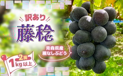 
            2026年発送＜訳あり＞種なしぶどう　青森県産　藤稔2房(1.0kg～1.2kg)【1613278】
          