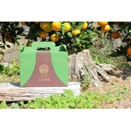 主井農園のバレンシア　サイズ混合2kg【配送不可地域：離島】【1441422】