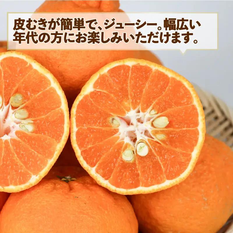 みかん 訳あり 不知火 ( デコポン と同品種) 約 5kg スーパー山田屋 先行予約 しらぬい 甘い 果物 くだもの フルーツ 柑橘 mikan 蜜柑 愛媛蜜柑 愛媛みかん わけあり サイズ 不揃い