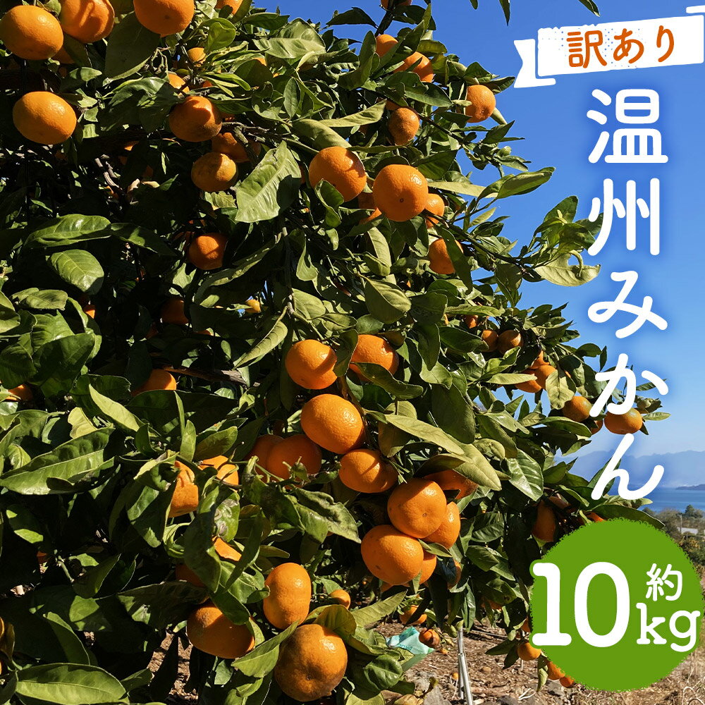 【ふるさと納税】【訳あり】 太陽と潮風を浴びて育った 長崎県時津町産 温州みかん 約10kg 3Lサイズ以上 10000円 1万円 ご家庭用 柑橘 蜜柑 九州産 長崎県産 果物 フルーツ 送料無料【2025年12月上旬～2026年2月下旬に順次発送予定】