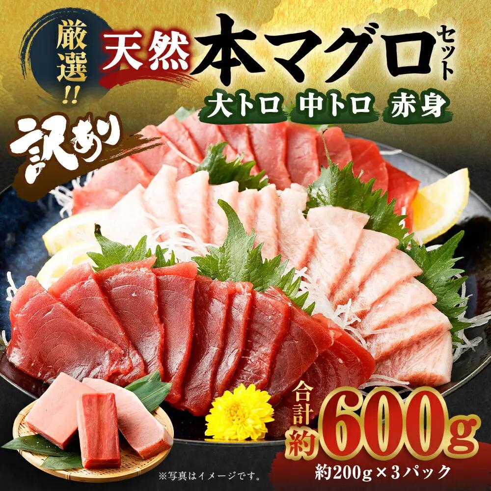 厳選 天然 本マグロ セット【 大トロ 中トロ 赤身 】６００ｇ以上 本まぐろ 100% 冷凍 刺身 海鮮 丼 さく 柵 ブロック