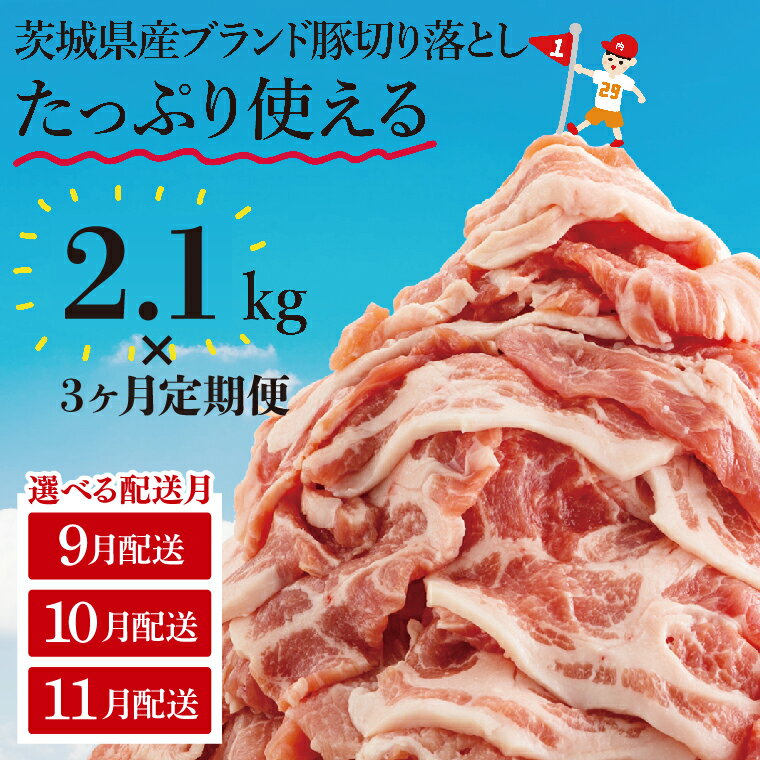 【ふるさと納税】【選べる配送月】【6か月定期便】【数量限定】リピーター続出！茨城県産豚ブランド切り落とし計12.6kg(2.1kg×6回)【肉 豚肉 切り落とし 小分け 真空 真空パック 茨城県産 肉料理 肩ロース ウデ モモ バラ 水戸市 水戸】（EC-9_2-9）