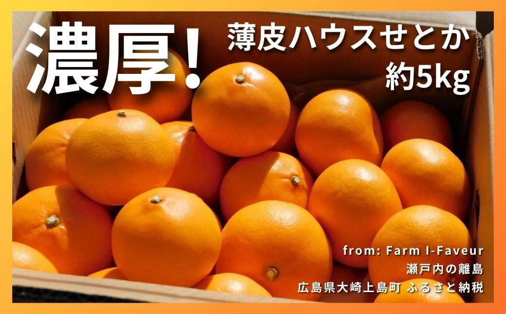 
[2月発送] 濃厚!!!! 果汁たっぷり薄皮ハウスせとか 約5kg(20個程度)　広島県 大崎上島町 瀬戸内 柑橘 果物 フルーツ 贈答 ギフト
