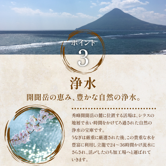 鹿児島県産うなぎのきざみ10袋(奈良/IB020-004)