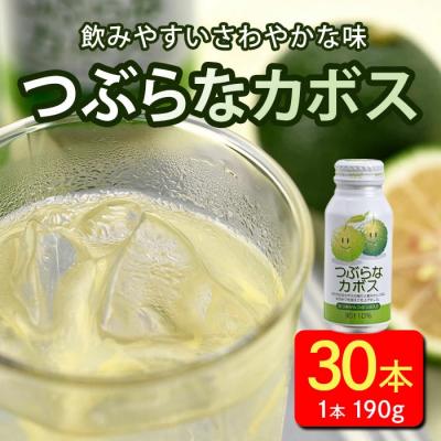 ふるさと納税 佐伯市 つぶらなカボス (190g×30本)