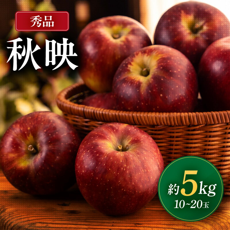 【ふるさと納税】【2026年先行予約】南信州産 秋映 秀品 約5kg 10～20玉 JAみなみ信州DMセンター飯田市 | 秋映 りんご 林檎 リンゴ 果汁 果物 フルーツ 信州 南信州 送料無料 ふるさと納税 長野県 飯田市 K24