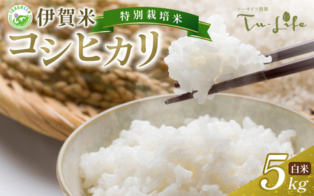 特別栽培米・伊賀米コシヒカリ 5kg コシヒカリ【tuli0001A】