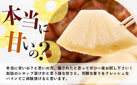 《2025年9月下旬以降発送》最高糖度20度！？ 完熟の極 石垣島産パイナップル 秋のピーチパイン3個セット【 沖縄 石垣島 石垣 八重山 パイン ピーチパイン 期間限定 数量限定 沖縄県 石垣島産 