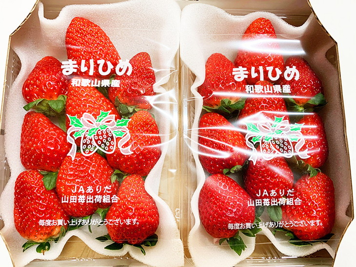 紀州和歌山ブランドいちご「まりひめ」約280g×2P ※2026年1月上旬〜3月上旬頃に順次発送予定