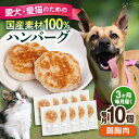 【ふるさと納税】【全3回定期便】ペットフード 鶏むね 100%ハンバーグ 10個セット ペット 愛犬 愛猫 おやつ ご褒美 ごはん 猫 犬 てづくり 国産 ドッグフード 【ペットフードYM japan】[AKEX007]