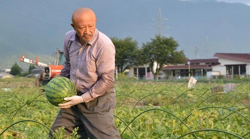 スイカの名産地の信州波田産。南原ファーム拘りの厳選スイカ。