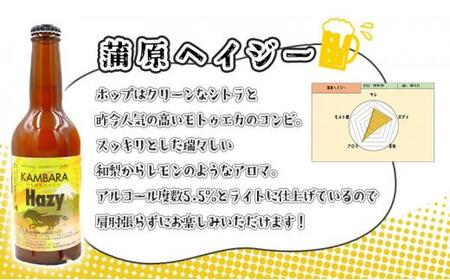 蒲原エール 3本 & 蒲原へイジ— 3本 計6本セット (キーホルダー栓抜き付き) HORSEHEAD LABS クラフトビール ご当地ビール 地ビール お酒 ビール