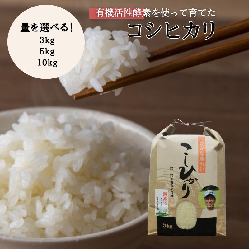 【ふるさと納税】令和7年産 量を選べる 新見産 コシヒカリ 白米 3kg 5kg 10kg 米 お米 こめ おこめ おすすめ 美味しい 健康 コシヒカリ 精米 農家直送 国産 ご飯 ごはん 弁当 お弁当 おにぎり おむすび 有機活性酵素 酵素 人気