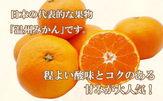 先行予約 訳あり 愛媛みかん 3kg 7000円 愛媛 みかん 温州みかん こたつ みかん mikan 蜜柑 ミカン 家庭用 産地直送 国産 農家直送 糖度 期間限定 数量限定 特産品 ゼリー ジュー
