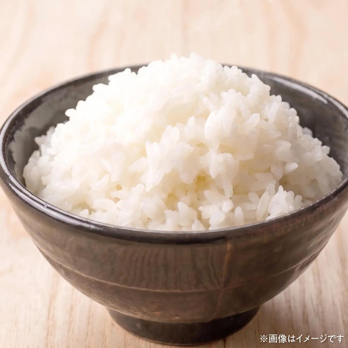 コシヒカリ 令和8年産 10kg 10キロ 精米 白米 お米 ご飯 ごはん 米 こめ こしひかり 高知県産 国産 お取り寄せ 常温 高知県 土佐市 ふるさと納税【三宮 君生】 [BQCE002]