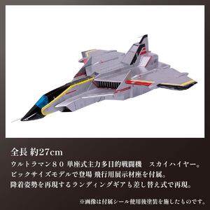 模型 特撮 飛行機 単座式主力多目的 戦闘機 スカイハイヤー 1セット | 模型模型 プラモデルプラモデル FN-SupportProject 