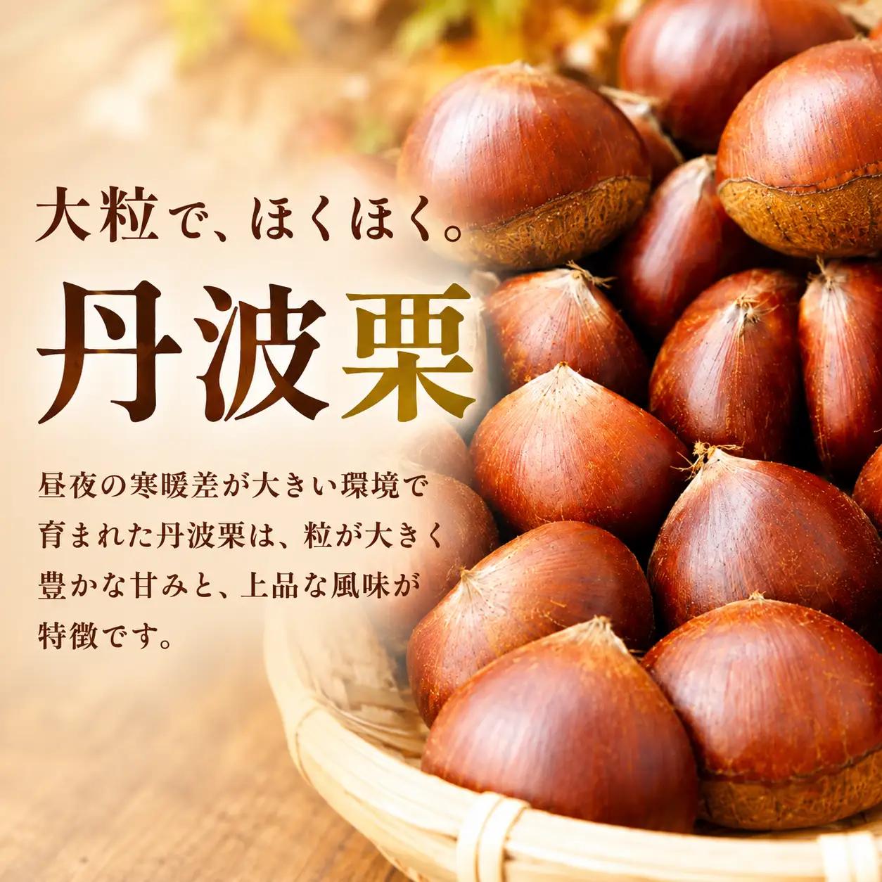 【丹波栗】 1kg M~2Lサイズ混合 栗 生栗
