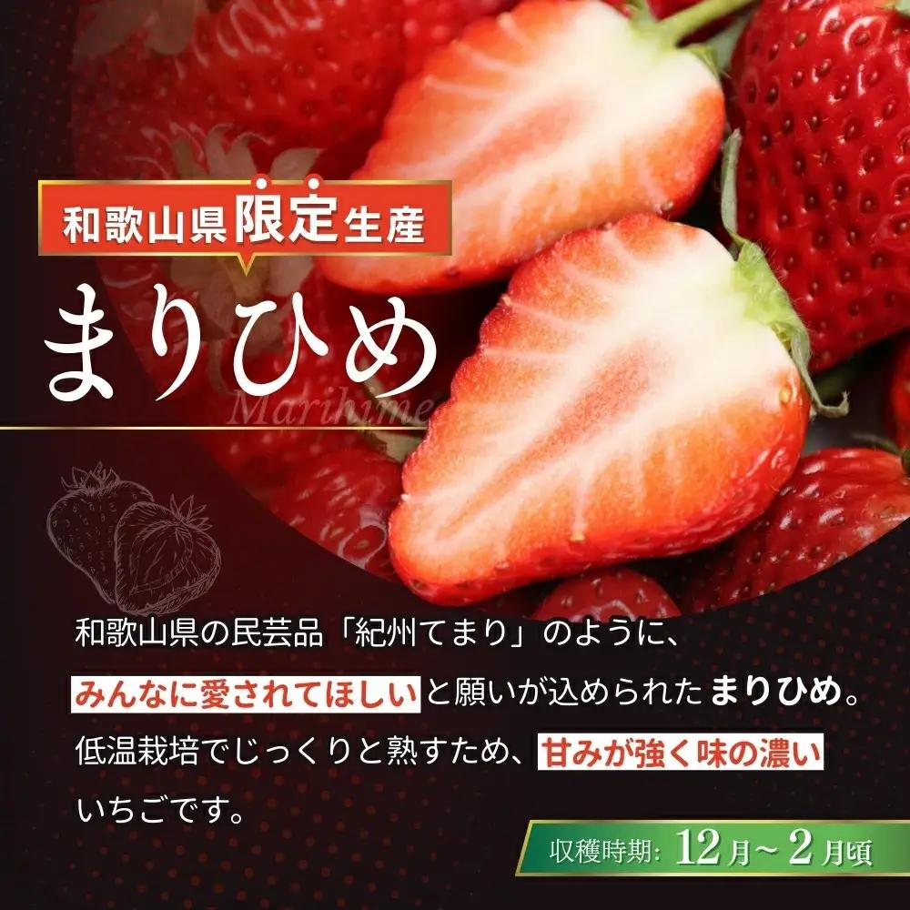 いちご まりひめ 2Lサイズ 約500g（15粒）【tcs001】