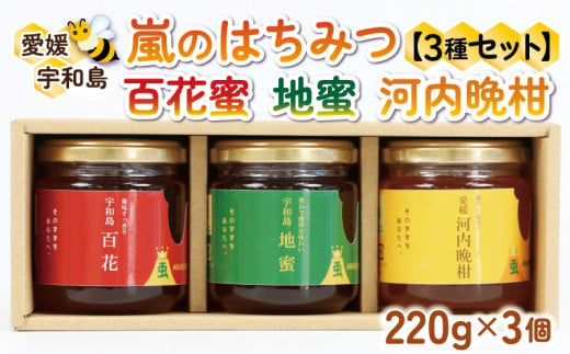 国産はちみつ 天然 100% 3種 セット 食べ比べ 百花蜜 地蜜 河内晩柑 みつばち屋嵐 嵐のはちみつ 国産蜂蜜 純粋はちみつ 天然蜂蜜 天然はちみつ 百花はちみつ みかんはちみつ みかん 蜜柑 日本はちみつ ハニー パン ジャム 非加熱 プレゼント 贈答用 希少 国産 愛媛 宇和島 F022-129001