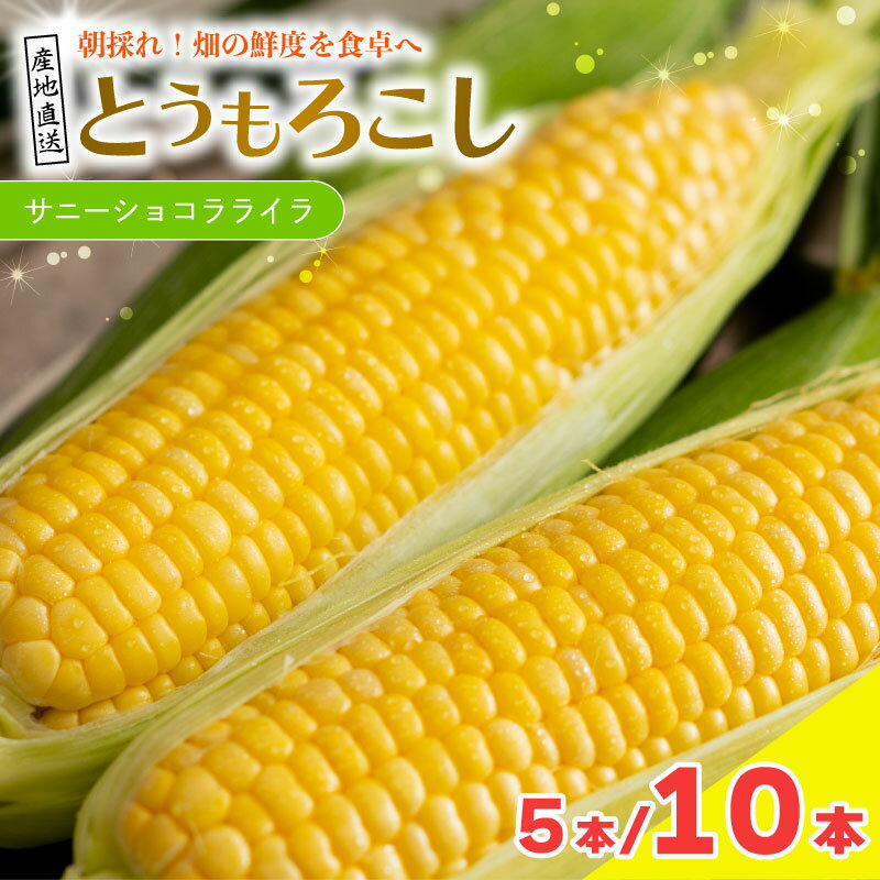 【ふるさと納税】 とうもろこし サニーショコラライラ 選べる 5本 2kg / 10本 4kg 先行予約 トウモロコシ コーン スイートコーン 甘い とうもろこしご飯 期間限定 夏 旬 野菜 鍋 炒め物 煮物 スープ 弁当 惣菜 おかず 健康 新鮮 国産 送料無料 吉野川市 徳島県