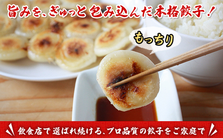 ＜愛媛のおいしい餃子セット もっちり餃子 合計125個(25個×5袋)＞ぎょうざ ギョーザ 餃子 国産 丸餃子 もっちり 国産野菜 ブランド豚 鍋 浅野食品 愛媛県 西予市【冷凍】『1か月以内に順次出