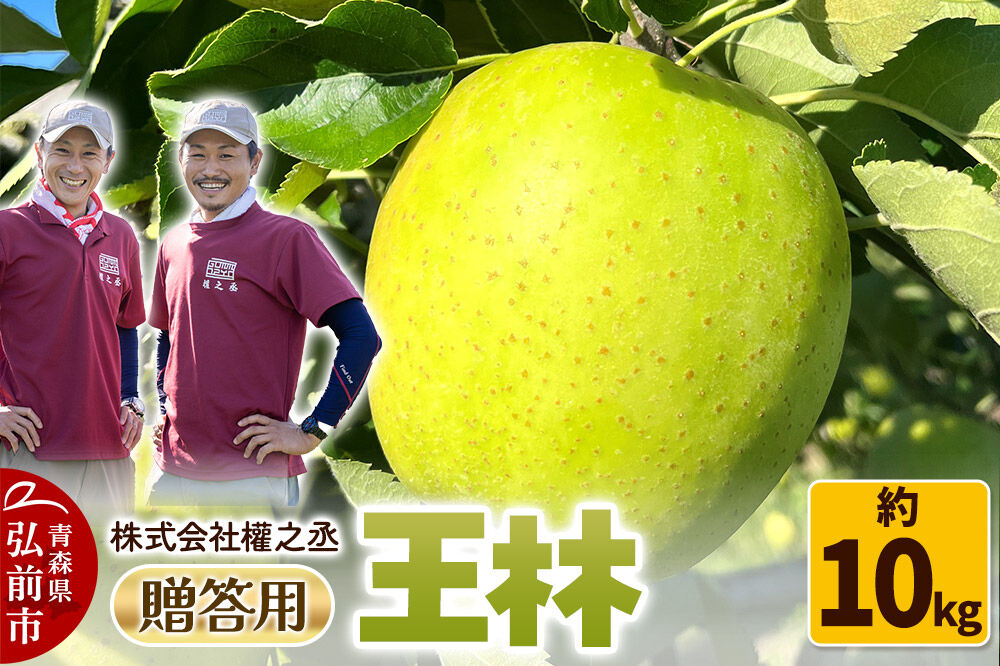 【26年11月発送】りんご 王林【贈答用】約10kg 權之丞 青森りんご 先行受付 青森県 弘前市 果物 フルーツ 林檎 リンゴ くだもの ギフト 贈り物 [先行予約 産地直送 弘前市産 アップル お