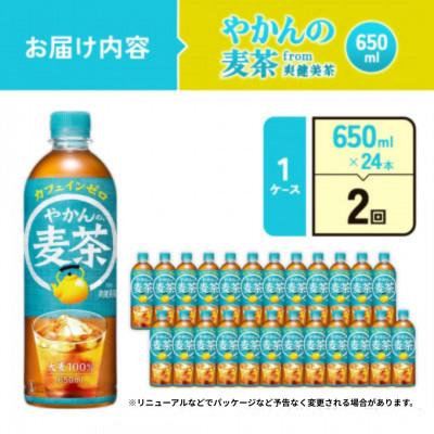 ふるさと納税 えびの市 【毎月定期便】やかんの麦茶 from 爽健美茶 PET 650ml 24本1ケース(えびの市)全2回 |  | 01