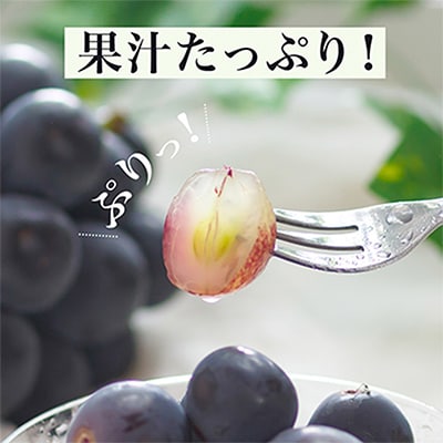 【2025年発送】岡山県産　ニューピオーネ2房　(1房600g以上)　化粧箱入り【配送不可地域：離島・北海道・沖縄県】