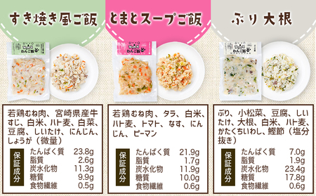 手づくり☆わんご飯『10種のわんだふるセット』_AC-J501_(都城市) 犬用 手づくりご飯 鶏ごぼうご飯 サーモンリゾット すき焼き風ご飯 とまとスープご飯 ぶり大根 馬肉ッパ 牛しぐれ等 ペット