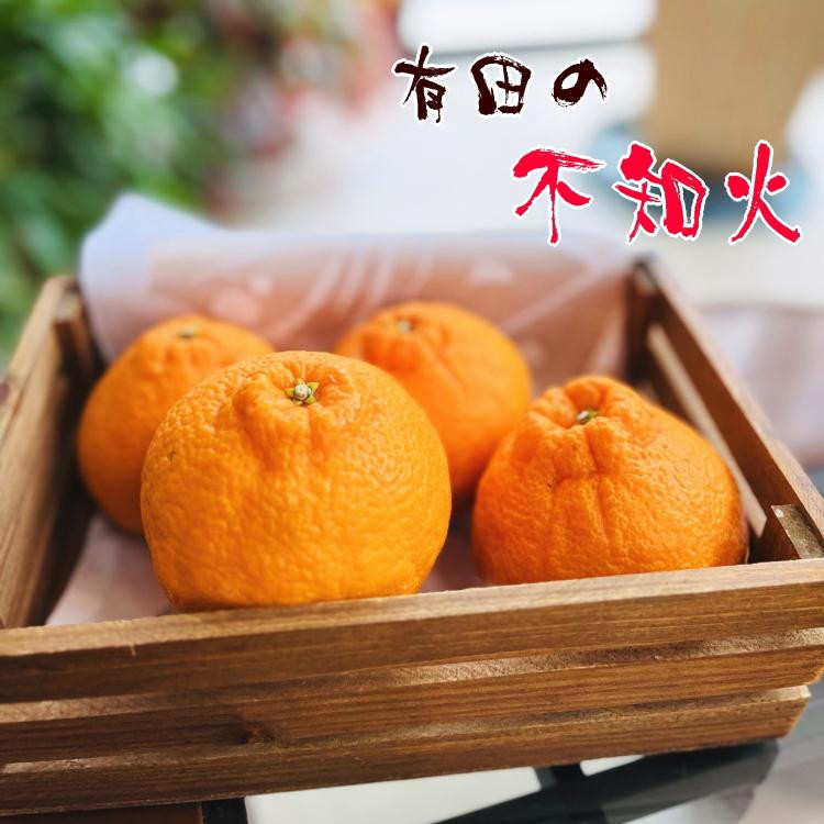 
            ［大人気］農家直送 ご家庭用 濃厚 不知火 約2kg
          