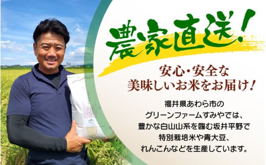 【先行予約】【令和8年産】 【10月上旬以降発送】華越前  無洗米 5kg / 米 5キロ ハナエチゼン はなえちぜん 北陸 福井県産 あわら市 ブランド米 白米 お米 コメ こめ kome ※202