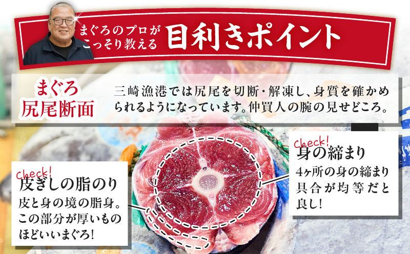 【お盆用】天然目鉢鮪 中とろ2柵・赤身1柵＜A2ランク＞（2026年8月10日にお届け）　M005-005