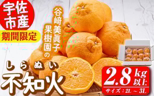 ＜先行予約受付中！2026年3月上旬～4月下旬の間に発送予定＞不知火(2L～3L・2.8kg～)みかん フルーツ しらぬい 柑橘 ミカン【113300300】【谷崎美眞子果樹園】