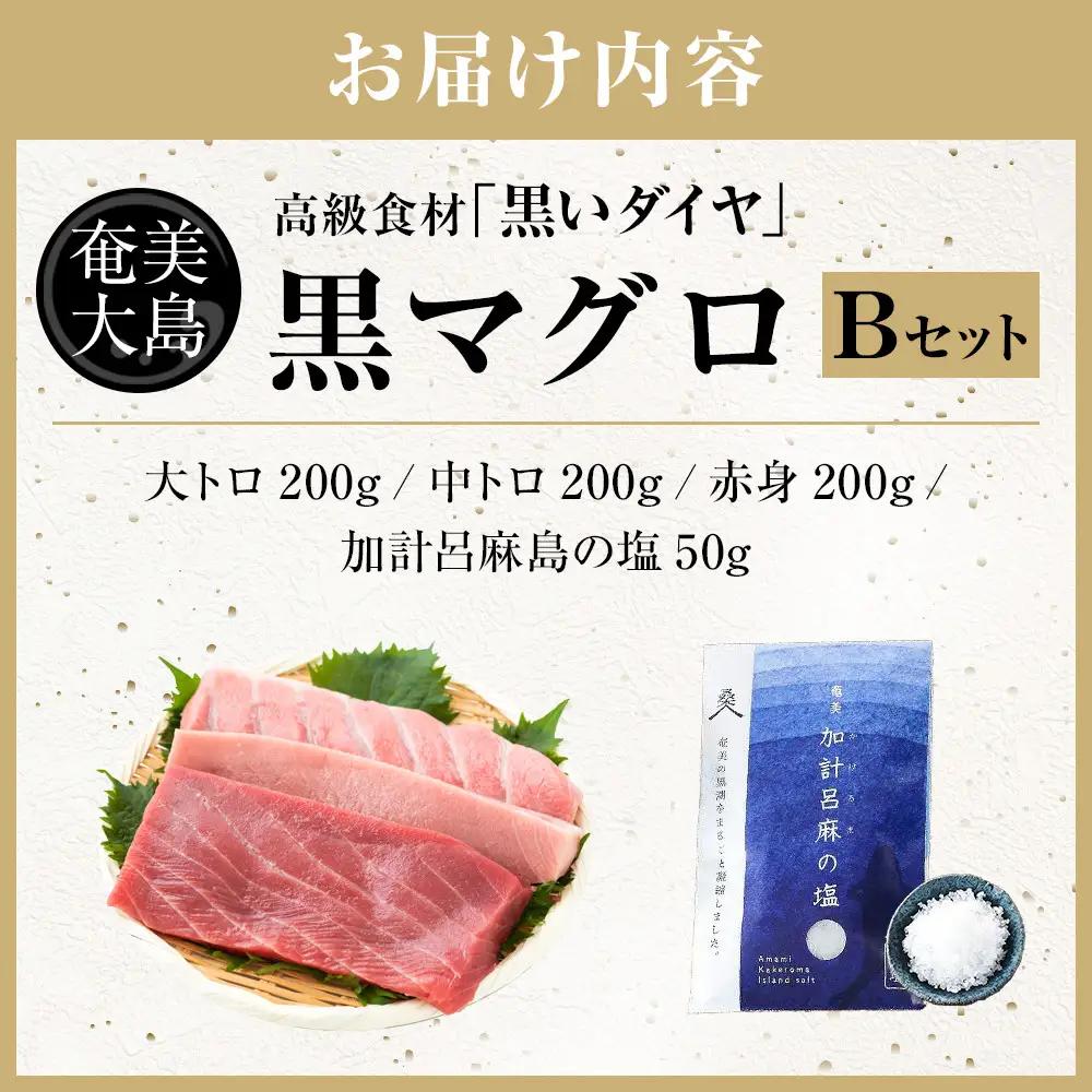 クロマグロ 鹿児島県奄美大島産高級食材『黒いダイヤ』クロマグロ Bセット