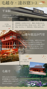 世界遺産の街 平泉町を巡る 歴史探訪ツアー ガイドコースプランニング 2時間 中尊寺 毛越寺 金鶏山 俳句 松尾芭蕉 奥州藤原氏 達谷窟毘沙門堂 体験 ツアー 岩手県 一関 平泉 奥州 北上 大船渡 